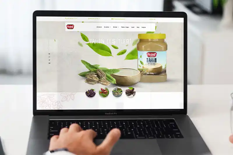 Web Tasarım