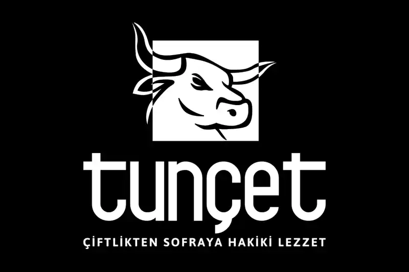 Logo Tasarımı