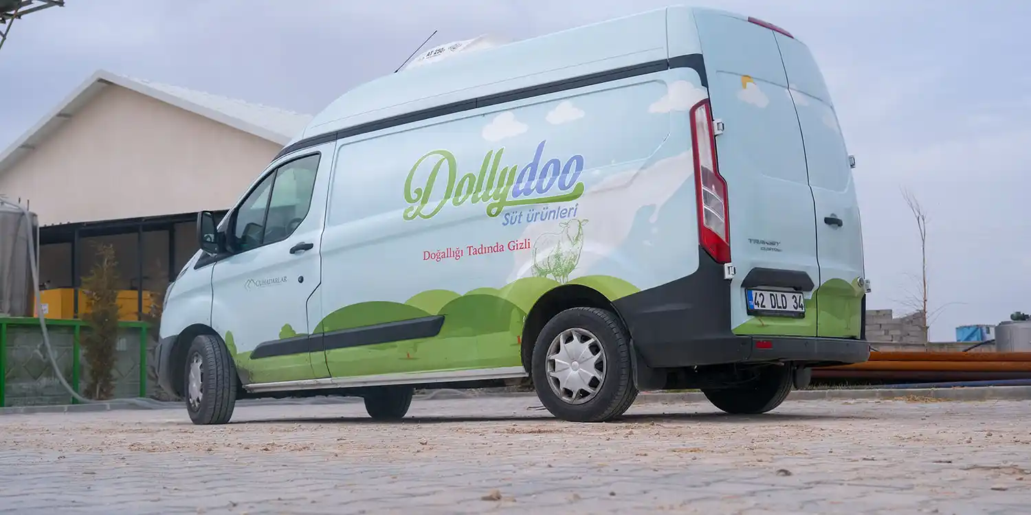 Dollydoo