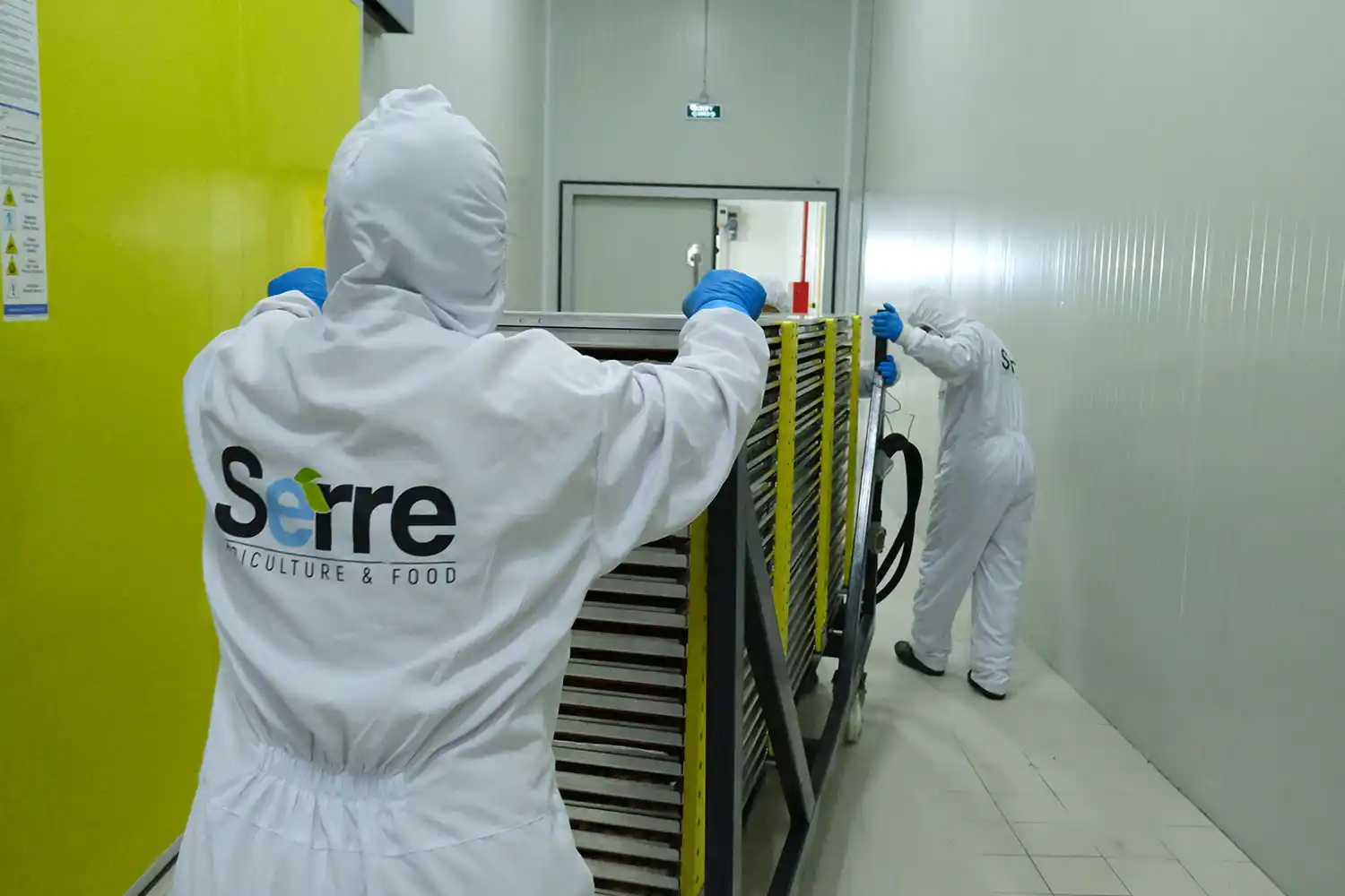 Serre Agriculture